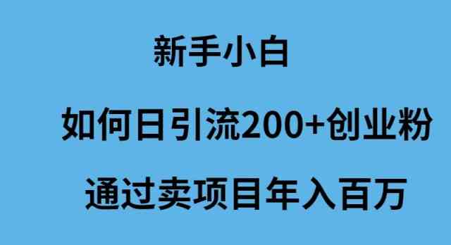 （9668期）新手小白如何日引流200+创业粉通过卖项目年入百万-星火爱财