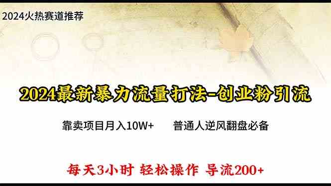 （10151期）2024年最新暴力流量打法，每日导入300+，靠卖项目月入10W+-星火爱财