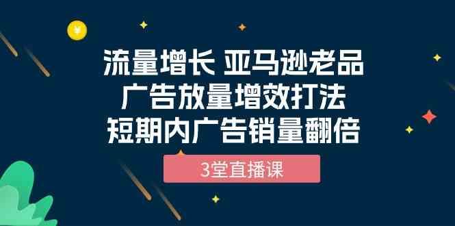 （10112期）流量增长 亚马逊老品广告放量增效打法，短期内广告销量翻倍（3堂直播课）-星火爱财