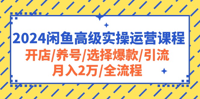 （10711期）2024闲鱼高级实操运营课程：开店/养号/选择爆款/引流/月入2万/全流程-星火爱财
