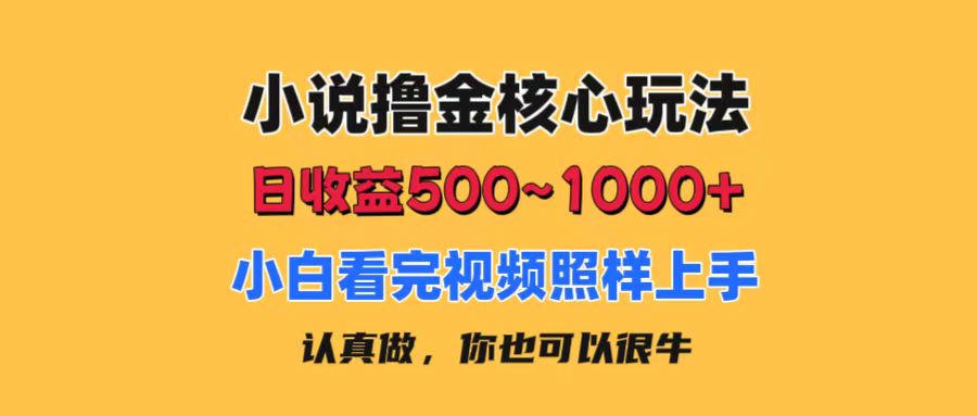 （11461期）小说撸金核心玩法，日收益500-1000+，小白看完照样上手，0成本有手就行-星火爱财