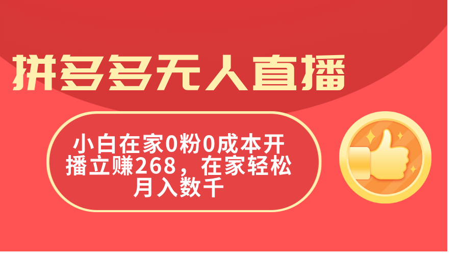 （11521期）拼多多无人直播，小白在家0粉0成本开播立赚268，在家轻松月入数千-星火爱财