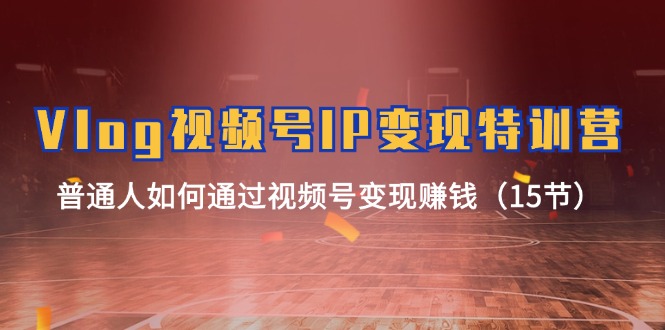 （11654期）Vlog 视频号IP变现特训营，普通人如何通过视频号变现赚钱（15节）-星火爱财