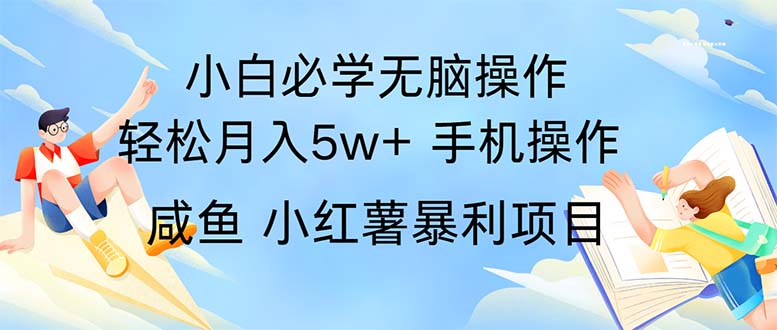 （11953期）2024热门暴利手机操作项目，简单无脑操作，每单利润最少500-星火爱财