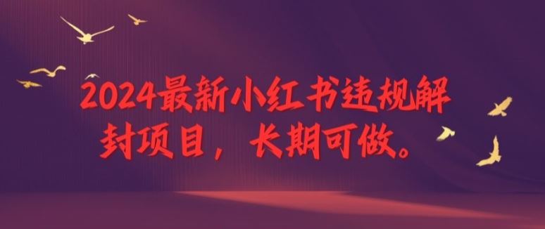 2024最新小红书违规解封项目，长期可做，一个可以做到退休的项目【揭秘】-星火爱财