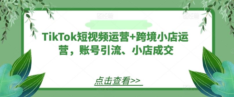 TikTok短视频运营+跨境小店运营，账号引流、小店成交-星火爱财