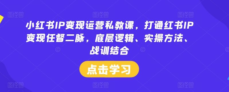 小红书IP变现运营私教课，打通红书IP变现任督二脉，底层逻辑、实操方法、战训结合-星火爱财