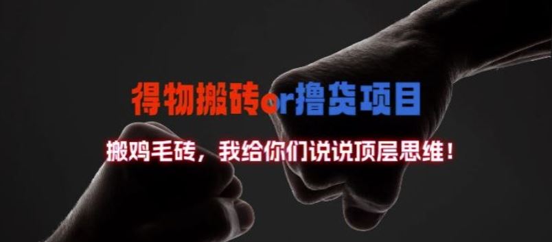 得物搬砖撸货项目?掰下数据，我给你们说说顶层思维【揭秘】-星火爱财
