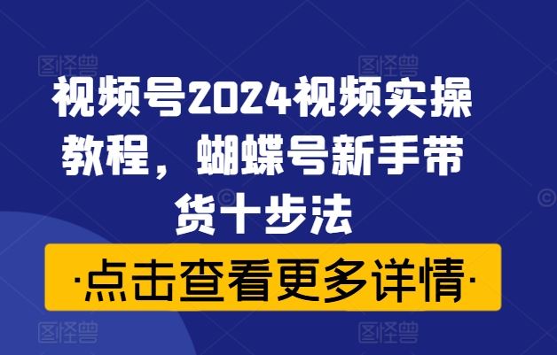 视频号2024视频实操教程，蝴蝶号新手带货十步法-星火爱财
