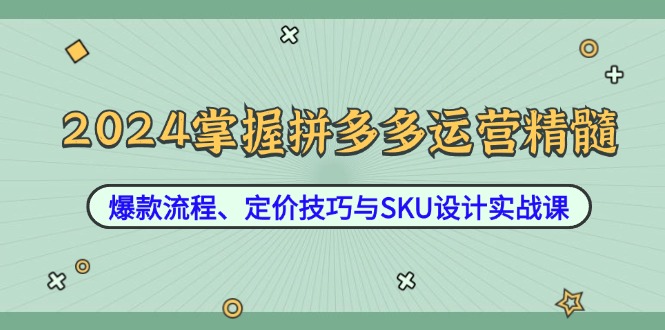 （12703期）2024掌握拼多多运营精髓：爆款流程、定价技巧与SKU设计实战课-星火爱财