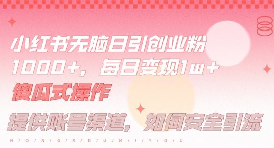 小红书无脑每日引流创业粉500+，小白每天只花半小时，躺赚长尾收益【揭秘】-星火爱财