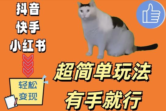 超简单玩法，有手就行，靠猫咪视频日入500+【揭秘】-星火爱财