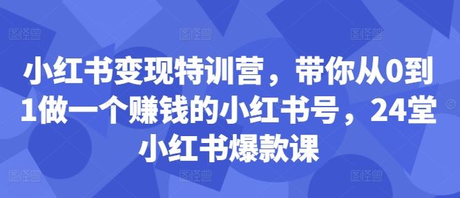 小红书变现特训营，带你从0到1做一个赚钱的小红书号，24堂小红书爆款课-星火爱财