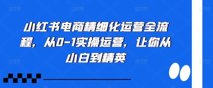 小红书电商精细化运营全流程，从0-1实操运营，让你从小白到精英-星火爱财