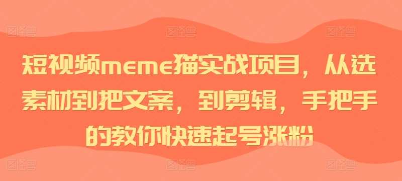 短视频meme猫实战项目，从选素材到把文案，到剪辑，手把手的教你快速起号涨粉-星火爱财