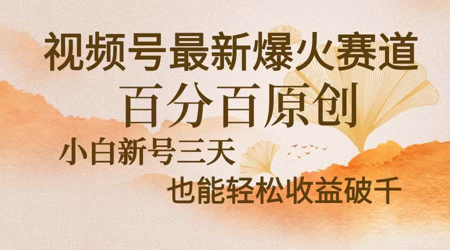 （13225期）视频号最新爆火赛道，中老年粉深信不疑，百分百原创，新号三天收益轻松…-星火爱财