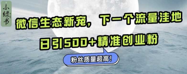 微信生态新宠小绿书：下一个流量洼地，日引500+精准创业粉，粉丝质量超高-星火爱财