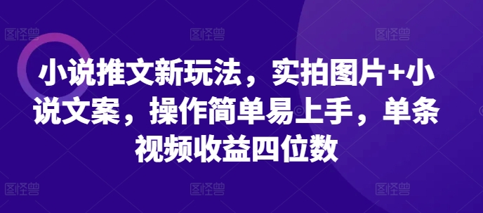 小说推文新玩法，实拍图片+小说文案，操作简单易上手，单条视频收益四位数-星火爱财