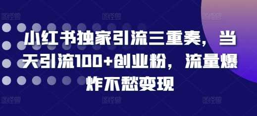 小红书独家引流三重奏，当天引流100+创业粉，流量爆炸不愁变现【揭秘】-星火爱财
