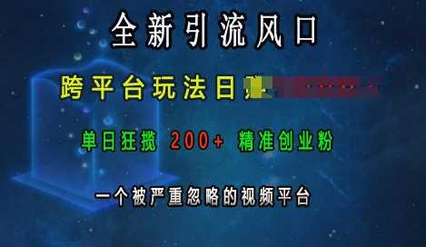全新引流风口，跨平台玩法日入上k，单日狂揽200+精准创业粉，一个被严重忽略的视频平台-星火爱财