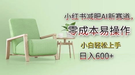 小红书减肥AI新赛道，零成本易操作，日入多张，小白轻松上手【揭秘】-星火爱财