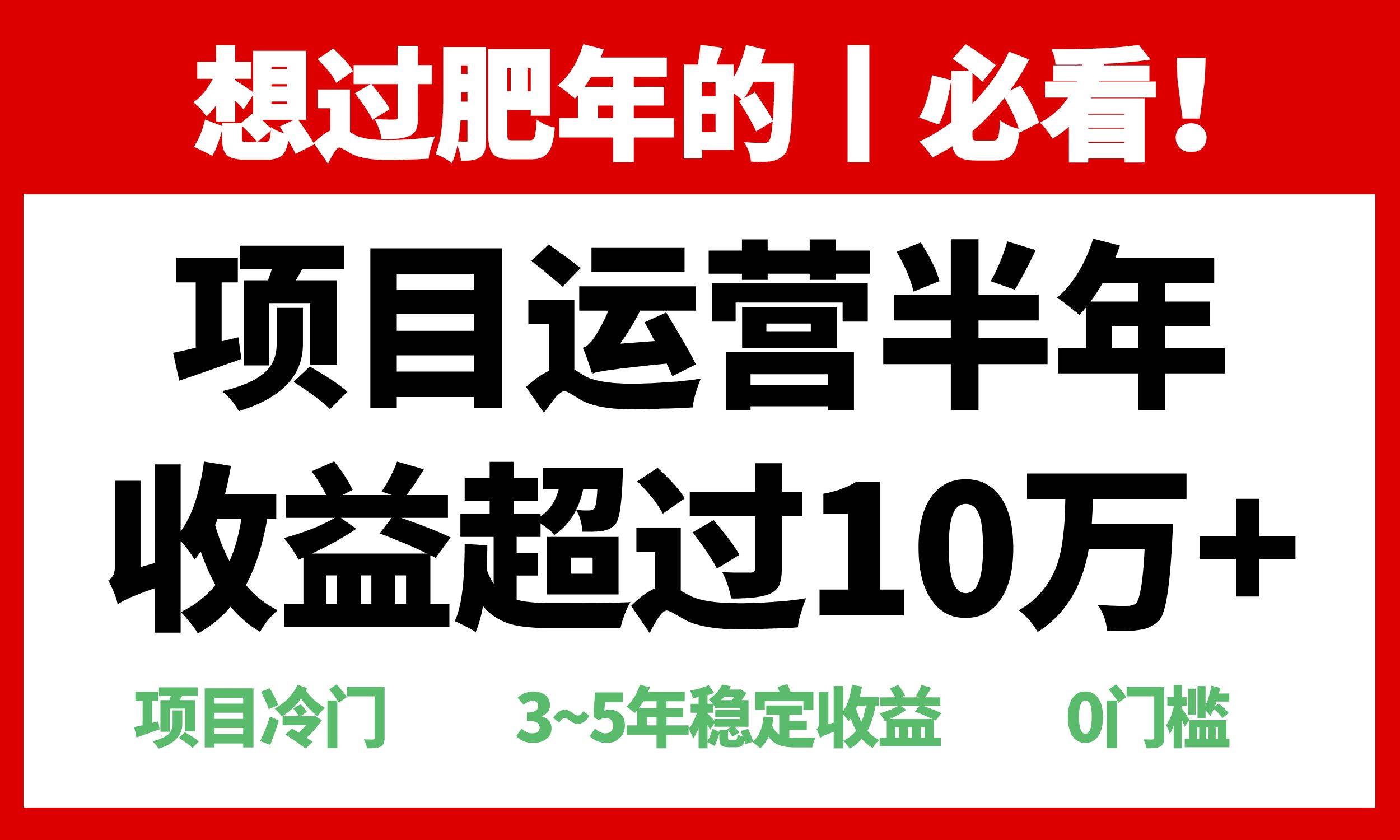 （13663期）年前过肥年的必看的超冷门项目，半年收益超过10万+，-星火爱财