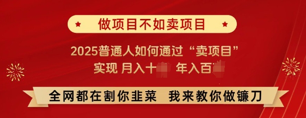 必看，做项目不如卖项目，2025普通人如何通过“卖项目”实现月入十个，年入百个-星火爱财