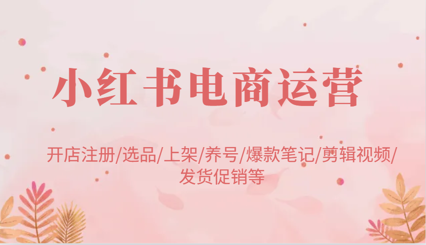 小红书电商运营：开店注册/选品/上架/养号/爆款笔记/剪辑视频/发货促销等-星火爱财