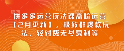 拼多多运营玩法课高阶运营【2月更新】，极致群爆款玩法，轻付费无尽复制等-星火爱财