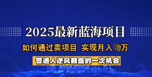 2025蓝海项目，普通人如何通过卖项目，实现月入过W，全过程【揭秘】-星火爱财