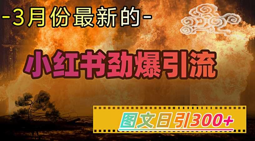 小红书超劲爆引流手段，图文日引300+轻松变现1W-星火爱财