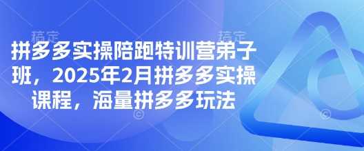 拼多多实操陪跑特训营弟子班，2025年2月拼多多实操课程，海量拼多多玩法-星火爱财