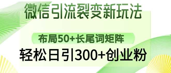 微信引流裂变新玩法：布局50+长尾词矩阵，轻松日引300+创业粉-星火爱财
