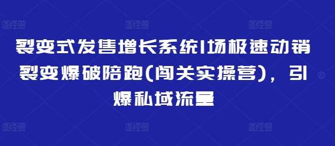 裂变式发售增长系统1场极速动销裂变爆破陪跑(闯关实操营)，引爆私域流量-星火爱财