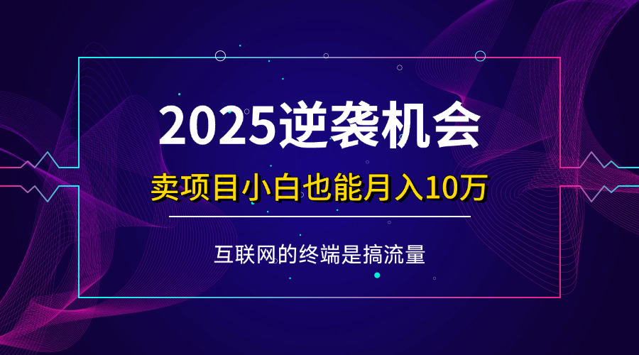 （14122期）项目标题：2025逆袭机会，卖项目小白也能轻松月入10万+-星火爱财
