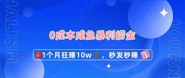 （14257期）0成本闲鱼暴利捞金，1个月狂赚10W+，秒发秒赚新玩法-星火爱财