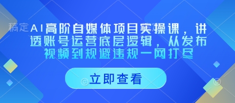AI高阶自媒体项目实操课，讲透账号运营底层逻辑，从发布视频到规避违规一网打尽-星火爱财