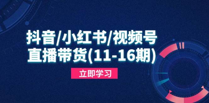 （14611期）抖音/小红书/视频号/直播带货(11-16期)，快速掌握平台规则，打造爆款内容-星火爱财