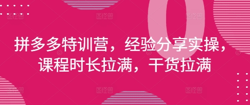 拼多多特训营，经验分享实操，课程时长拉满，干货拉满(更新25年4月)-星火爱财