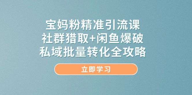 （14820期）宝妈粉精准引流课，社群猎取+闲鱼爆破，私域批量转化全攻略-星火爱财