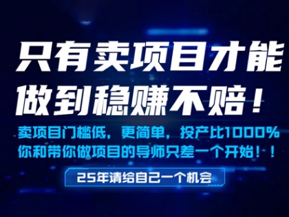 只有卖项目才能做到稳挣不赔，门槛低，更简单，你也可以年入百个W【揭秘】-星火爱财