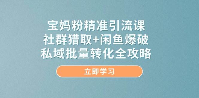 宝妈粉精准引流课，社群猎取+闲鱼爆破，私域批量转化全攻略-星火爱财