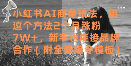 小红书AI商单玩法，用这个方法2个月涨粉7W+，新手也能接品牌合作(附全套指令模板)-星火爱财