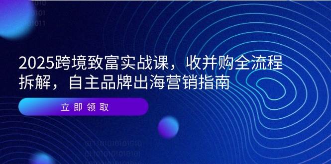 （14975期）2025跨境致富实战课，收并购全流程拆解，自主品牌出海营销指南-星火爱财