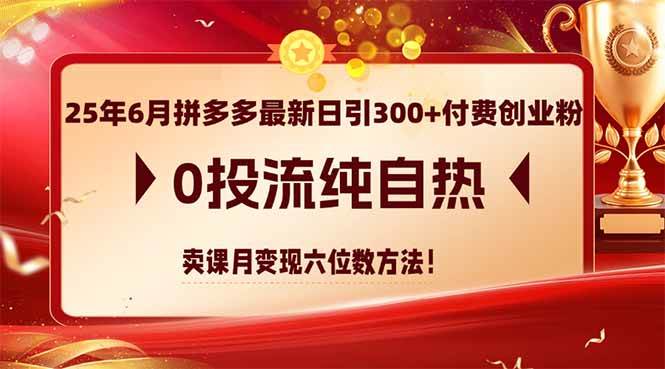 （14989期）25年6月拼多多最新日引300+付费创业粉，0投流纯自热 卖课月变现六位数方法-星火爱财