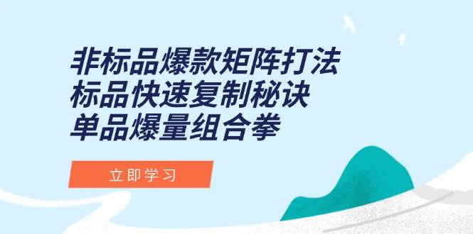 （15068期）非标品爆款矩阵打法，标品快速复制秘诀，单品爆量组合拳-星火爱财