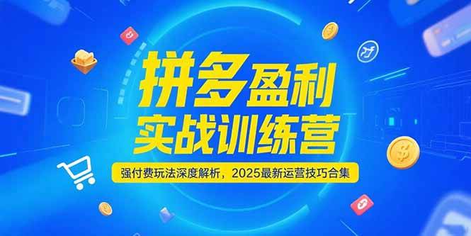 （15183期）拼多多盈利实战训练营，强付费玩法深度解析，2025最新运营技巧合集-星火爱财