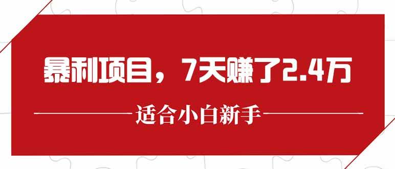 （15228期）最新暴利项目，每单收益轻松在300以上，7天赚了2.4万-星火爱财