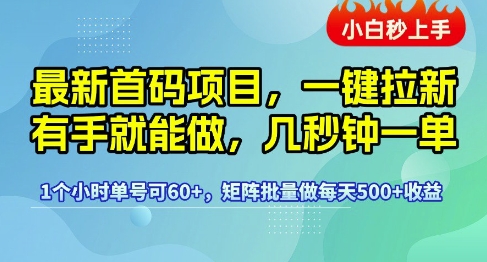 最新首码项目，一键拉新有手就能做，几秒钟一单，1个小时单号可60+，矩阵批量做每天5张【揭秘】-星火爱财