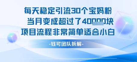 每天稳定引流30个人 当月变成超过了4个W项目流程非常简单适合小白-星火爱财